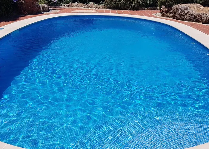 Aus Dem Xix Jahrhundert By Interhome